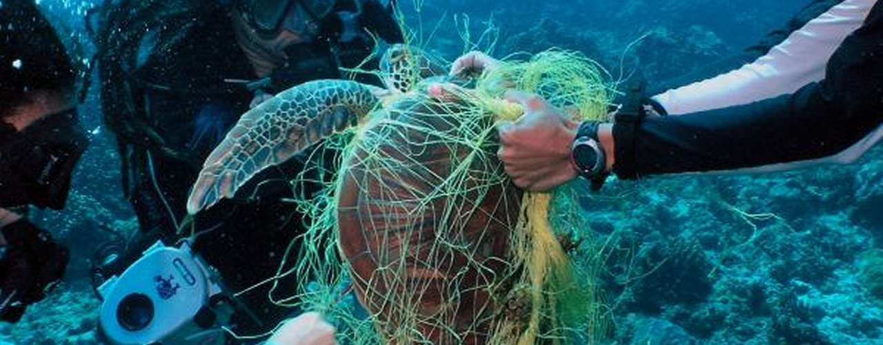 Ghost Nets in the Philippines – a small Step to Recycling News from the ...